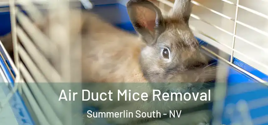 Air Duct Mice Removal Summerlin South - NV