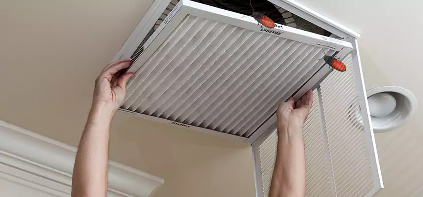 Preventive Cockroach-Proofing for Ducts in Summerlin South