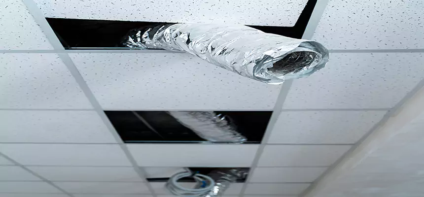 Our Air Duct Pet Hair Removal Services in Summerlin South, NV