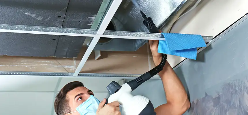 Our Air Duct Rodent Removal Services in Summerlin South, NV