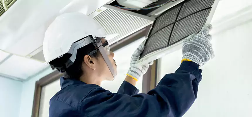 Our Mold & Mildew Removal from Air Ducts Services in Summerlin South, NV