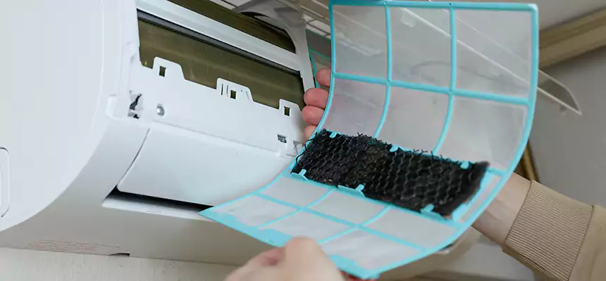 Gentle Ductwork Odor-Control Pet Dander Duct Cleaning in Summerlin South, NV