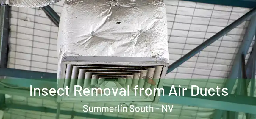  Insect Removal from Air Ducts Summerlin South - NV
