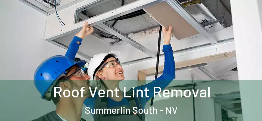  Roof Vent Lint Removal Summerlin South - NV