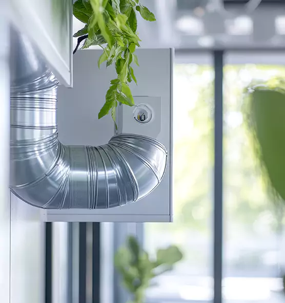 Professional Eco-Safe Dryer Vent Cleaning in Summerlin South, NV