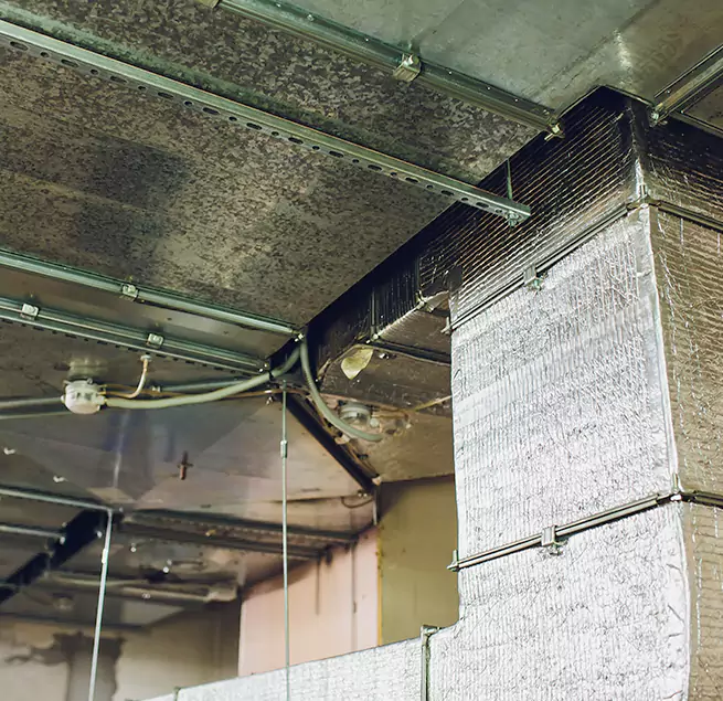 Why Homeowners & Businesses Trust Us in Summerlin South, NV?